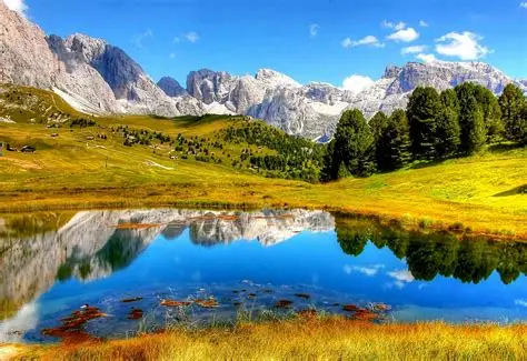 آموزش برنامه نویسی